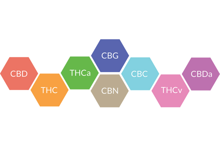 Read more about the article The Entourage Effect: Why it’s Important to Consume Multiple Cannabinoids