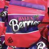 Buy BALLA BERRIES Online - Image 2