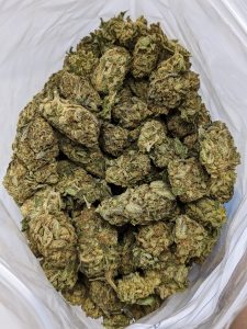 Dense dark green and purple buds of Black Tuna weed strain covered in silver crystal trichomes.