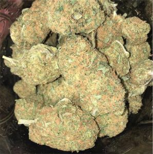 Close-up of frosty Platinum Girl Scout Cookies buds with purple hues and silver trichomes.