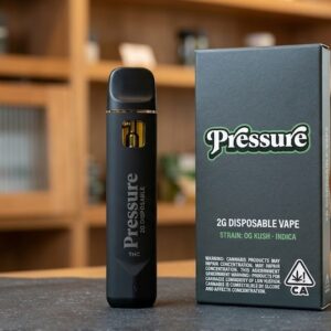 pressure 2g disposable online